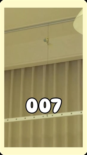 Yang on Instagram: "This parrot thinks it’s James Bond. Agent 007 in Training😄 #Parrot #FunnyParrot#PetShorts#BirdHumor#AnimalsDoingThings"