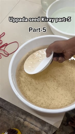 Uppada seed Kiray part-5| #ytshorts #shorts #uppada #vamsivarmavlogs #bhimavaramdriver