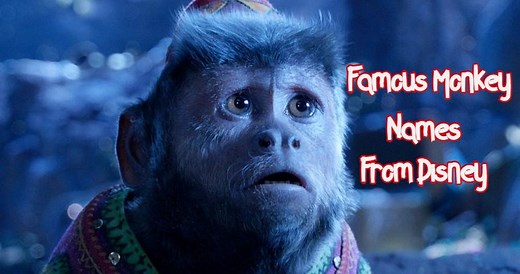 70  Famous Monkey Names Inspired By Disney Characters