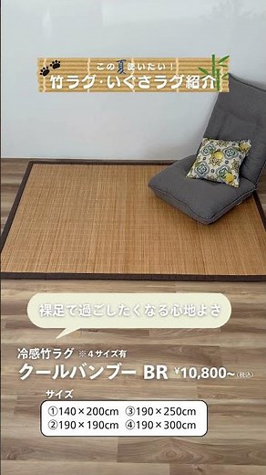 ひんやり快適🌿竹ラグ＆い草ラグ🎋✨#東京インテリア家具 #東京インテリア #インテリア #shorts