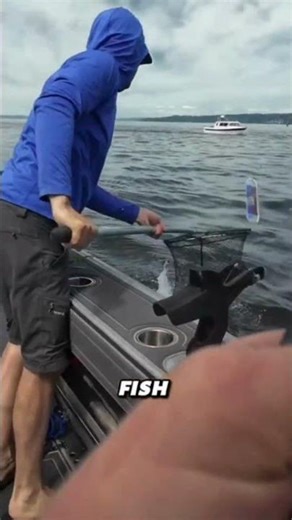 Come with me salmon fishing in Seattle #fishing #fish #sportfishing #salmon #seattle