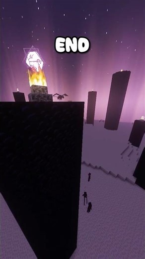 You DIDNT know this fact about the end ib Minecraft 💀 #minecraft