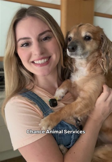 I couldn’t think of a better way to use the new camera 📸 All dogs are available for adoption @SCAS ❤️Link in bio to explore their adoption profiles! #TikiPlusTwo #GoTikiGo #dogsoftiktok #rescuedogs