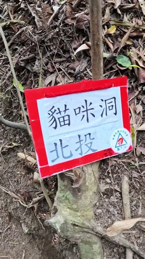 軍艦岩縱走｜唭哩岸捷運站出發→熱海岩場｜發現秘境「貓咪洞」⚠️新手建議繞行 #軍艦岩 #新北旅遊 #hikingtaiwan