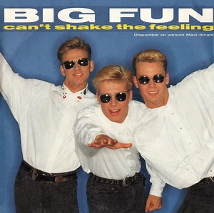 Big Fun - Can't Shake The Feeling
