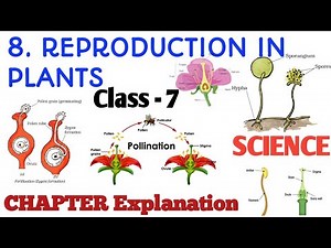 (PT-1 )class 8 sci ch 8 | class 8 sci reproduction in plants reproduction in plants full explanation