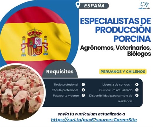 Swineworks México on Instagram: "🇪🇸 ¡Oportunidad Única para Especialistas en Producción Porcina en España! 🐷 ¿Sueñas con dar el salto internacional? ¡Importantes granjas en España te están buscando! 🚀 Únete a equipos de trabajo en instalaciones altamente tecnificadas y lleva tu carrera al siguiente nivel. 👉 REGISTRA TU SOLICITUD Y ENVÍA TU CV AQUÍ: https://zurl.co/f2g00 Buscamos Profesionales con Experiencia en: * Gestión integral de las etapas: Destete, Gestación y Partos. * Implementación