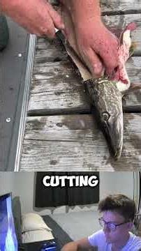HOW TO CLEAN A PIKE! #freshwaterfish #pike #cleaning #shorts