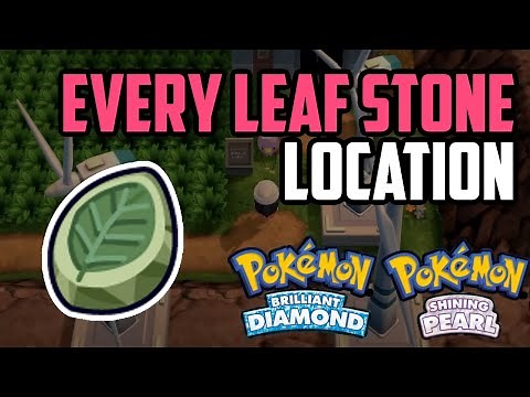 Where to Find Leaf Stone - Pokémon Brilliant Diamond & Shining Pearl (All Methods)