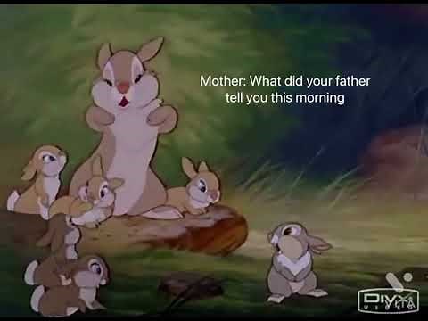 Thumper, what did your father tell you…..