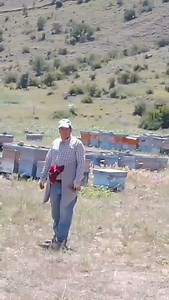 Cemo Öztürk on Reels