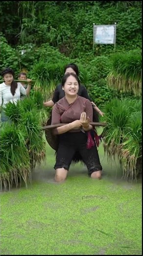 Farmer's Hardworking WifeViral Gadgets, Smart Appliances, Kitchen Utensils/ Home Inventions #shor...