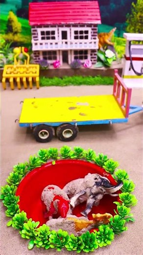 mini tractor video | mini water pump science project #ytshorts #cartoon #tractor