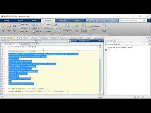 matlab programming style