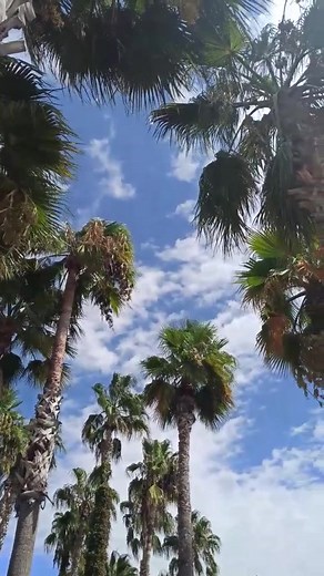 Exploring September in Antalya's Meryan Hotel Gardens