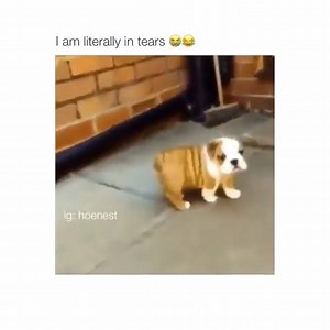 yayyy :3 | GIF Smile