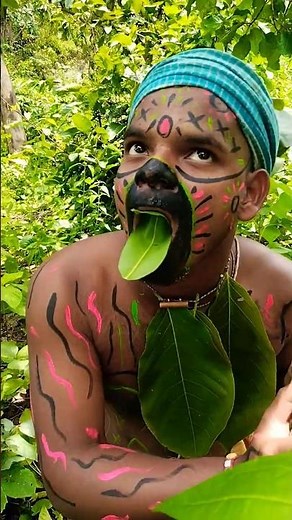 Amazing Sound of Coyote Howling and Barking | Natural Animal Sounds Compilation