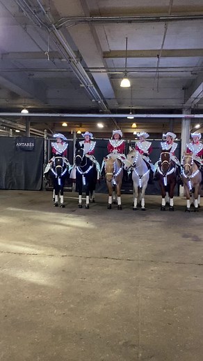 ramrodeotourofficial on TikTok