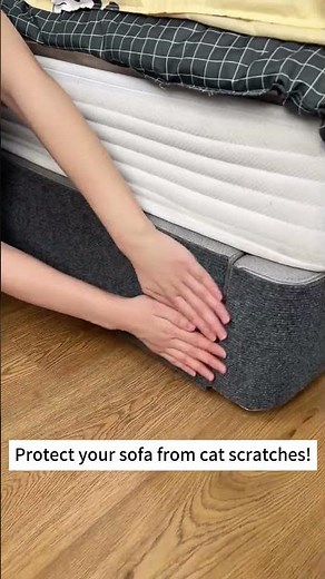 How to Protect Your Sofa from Cat Scratches (Easy Fix!)