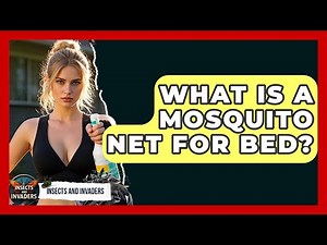 What Is A Mosquito Net For Bed? - Insects and Invaders