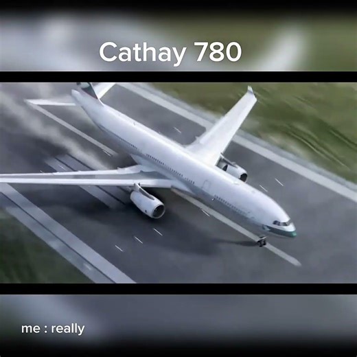 "Planes can't land fast" me : really (sorry for rarely upload videos guys)