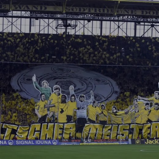 #bvb #fußball #foruyou #fyp @Borussia Dortmund