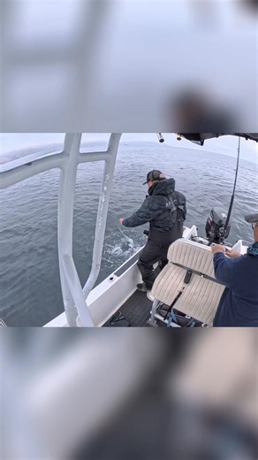 Join fishermen as they navigate the open water, reel in their catches, and share tips. This video shows the thrill of the fishing trip and reveals what makes lingcod so special. A fisherman's life! #Lingcod #FishingTrip #Fisherman #CatchAndRelease #FishingLife | Hook2Cook