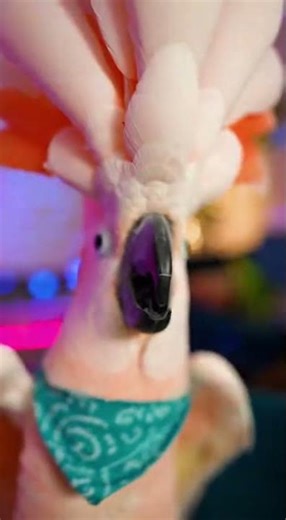 The Turbo-Twirling Cockatoo! 🦜🌀 #viral #parrot #bird #birds #cockatoo