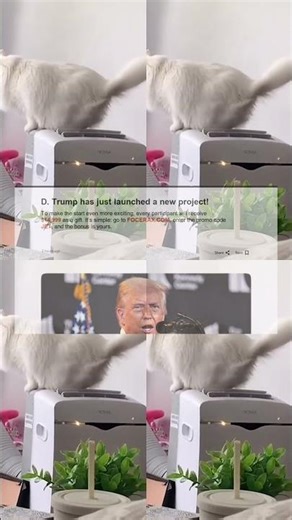 FUNNY Cat Tries to Escape! 🤣 Hilarious Pet BLOOPERS 1308s