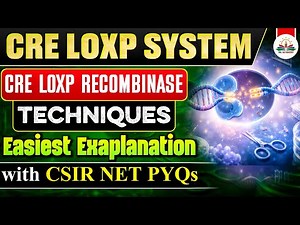 CRE–LOX P System Explained Simply 🔥 | Recombinase Technique | with CSIR NET PYQs
