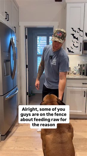 132 reactions · 13 comments | Feeding @wefeedraw can be that simple and clean! Use my code NBD30 to save 30% off your first order! #boerboel #dognutrition | Tom Davis Dog Training | Facebook