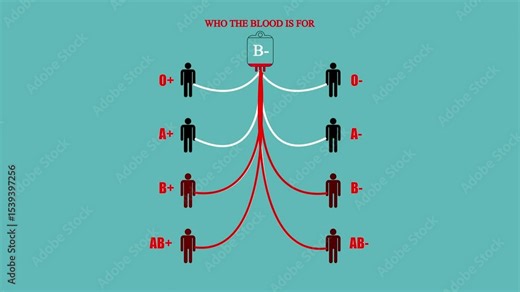 Blood group compatibility chart. Blood group compatibility table. Blood group table. Blood groups for donation.human blood types rendering. blood donation with all possible blood group combinations.