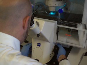 Visualization of miniSOG Tagged DNA Repair Proteins in Combination with Electron Spectroscopic Imaging ESI