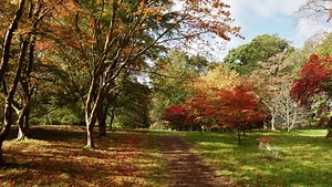 Some of the Best Landscape Photography Lenses You Can Buy