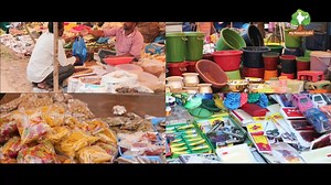 504K views · 2.2K reactions | indian desi cow "the real goddess of indians" our indian tradition and cultural look of cattle part two video part three and four coming soon | My Nature India Foundation | Facebook