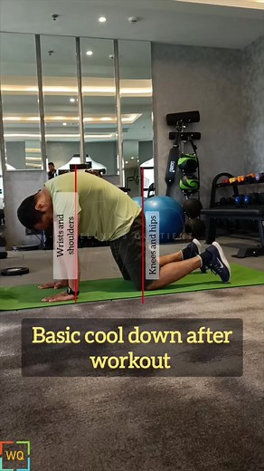 5.3K views · 51 reactions | Here are the top 5 key points on the...