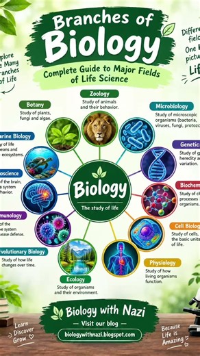 Branches of Biology