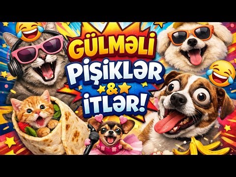 "You Won’t Believe These Crazy Pet Antics! | Must Watch Funny Pets"