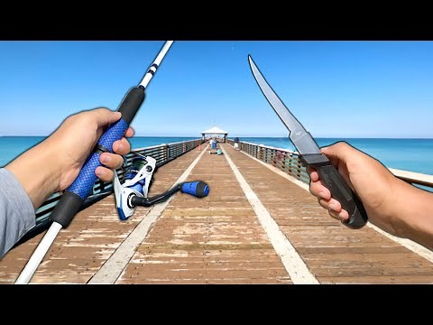 Florida PIER Fishing! Eating Whatever I Catch (Catch and Cook)