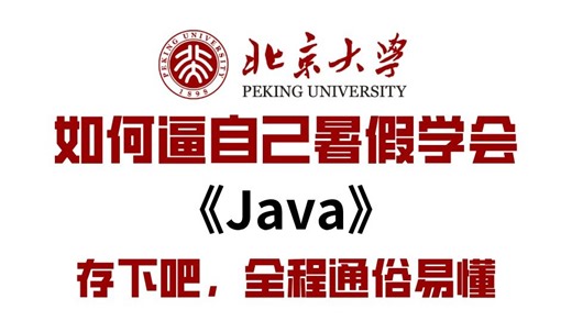 【Java零基础入门】300集Java保姆级教程！从入门到精通，2025最新版，全干货无废话，超详细全套保姆级教程，从零基础到接单赚钱-java-java入门