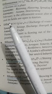 4.2K views · 104 reactions | Vocabulary | CSS with Umar | Facebook