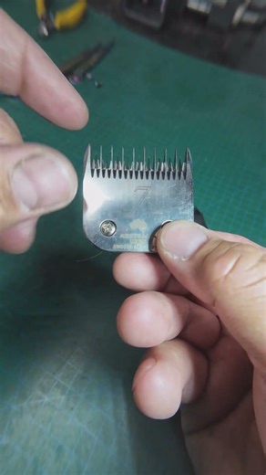 5F vs 5 Skip Tooth – What Most Groomers Get Wrong