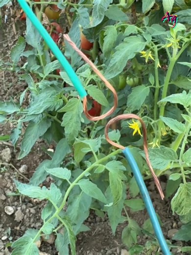 Secure & Safe Wire Connections in 3 Simple Steps | A&G Gallery