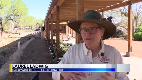 Backyard Refuge Day held at Gutierrez-Hubbell House
