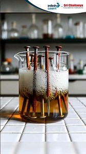 Reaction of Iron Nail with CuSO₄ 🤯| Simple Displacement Reaction | Science Shorts #camical #science