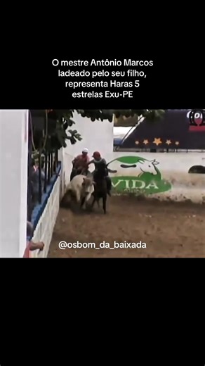 Vaquejada e Família: Haras 5 Estrelas em Exu-PE