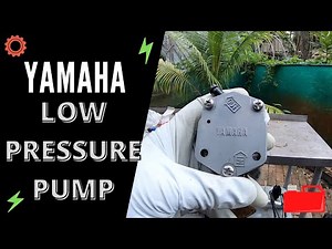 Yamaha Outboard Low Pressure Fuel Pump Replacement