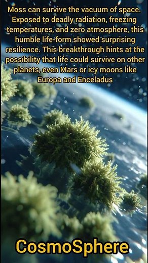 Moss Has Survived In Outer Space—Here’s Why That Matters