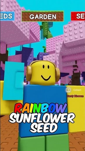 PLANTING A RAINBOW SUNFLOWER IN GROW A GARDEN!