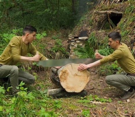 Embrace the forest with these wild craft ideas! | 5-Minute Crafts